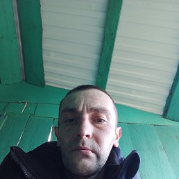 �������, 39 ���, ���