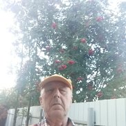 , 66 , 