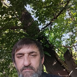  , 46, 