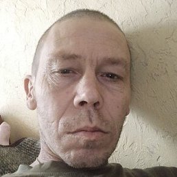 ��������, ������, 41 ���