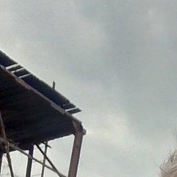 ������, ������, 62 ����