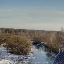 ������, ������, 37 ���