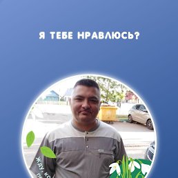 ���� �������, ��������, 46 ��� - ��������� 10 ������ 2024