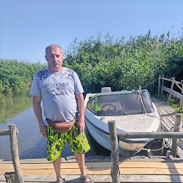 , 56 , -