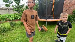 Garden Chicken Coop UK - Pets Imperial Chicken Coop - Playing with the chickens