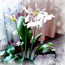 ���� �����, ������, 64 ���� - ��������� 27 ������� 2023 � ������ ���� ����������