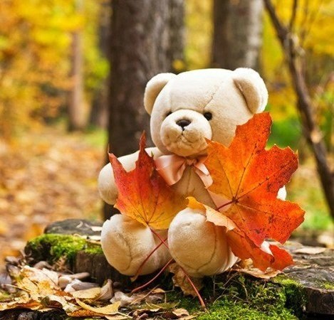      ,     ,  ,      ... - 5