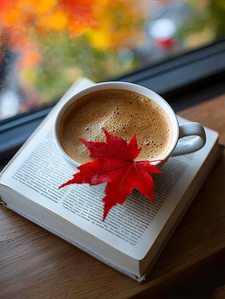    ?   ,  .     ""  ...