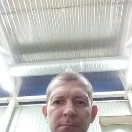 ������, ���������, 41 ���