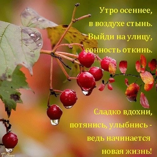   ,    . - 20  2025  00:07