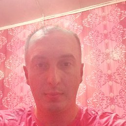 , 37, 