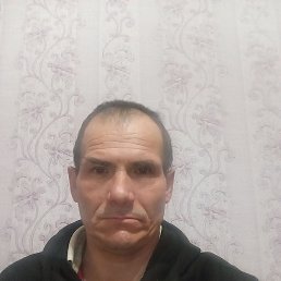 �����, 42 ����, ���������