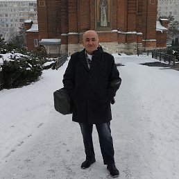 , 61, 