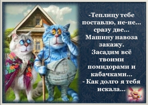   - 5  2025  21:34