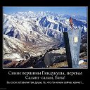 ���� ������� ����, ����, 60 ��� - ��������� 17 ������ 2023 � ������ ������ ��������