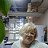 Irina, , 55  -  30  2025