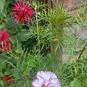 ���� ������, �����-���������, 62 ���� - ��������� 25 �������� 2025 � ������ �������