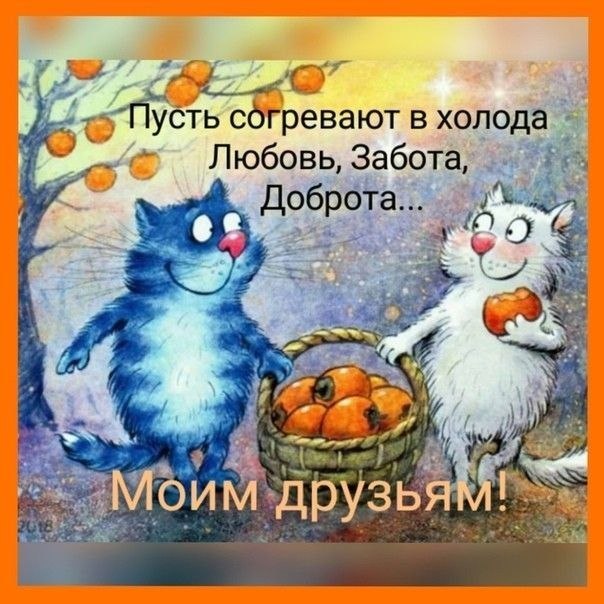   ,    . - 26  2023  00:42