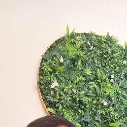 , 28, 