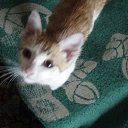 ���� �������, ����������, 60 ��� - ��������� 9 ������� 2025 � ������ ������ ��������