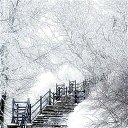 ���� ����..., �����, 50 ��� - ��������� 21 ������ 2026 � ������ ���� ����������