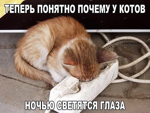  - 12  2025  14:44