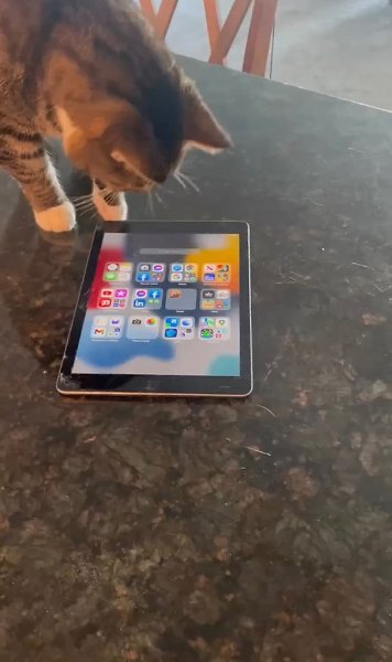 ��� ������, ��� �������������� ��������� ���� ������� ���� � ������� �� iPad, � ���� ...