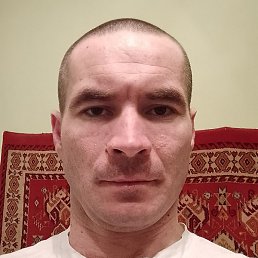 ������, ���������, 33 ����