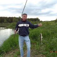 , 52 , 