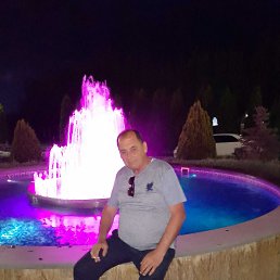 , 61, 