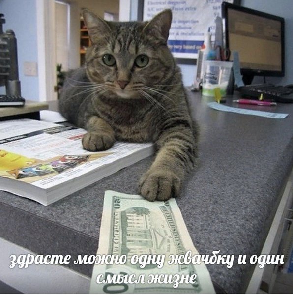    - 8  2024  18:18