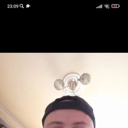 , 29, 