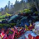 ���������� ���� �� ������� ������ ��������