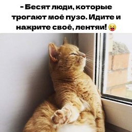 ��������, ���������, 46 ���