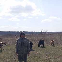 ���� ������� �������, ������� �����, 49 ��� - ��������� 1 ������ 2024