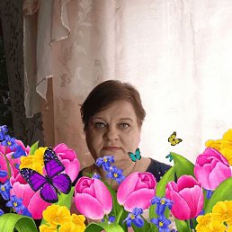  , 49, 