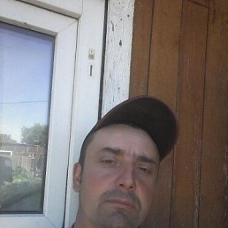 ������, 41 ���, ������