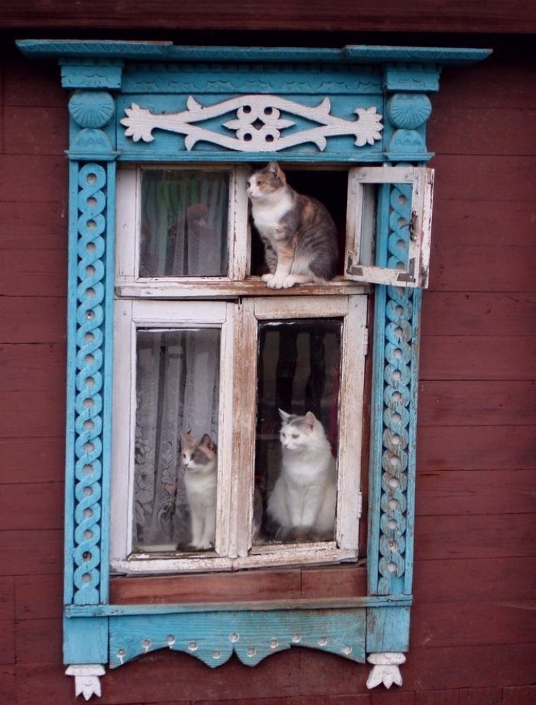 ��c����� ��o�� �������� - 2