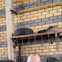  ϸ, , 41  -  16  2025    