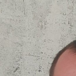 �������, ���������, 37 ���