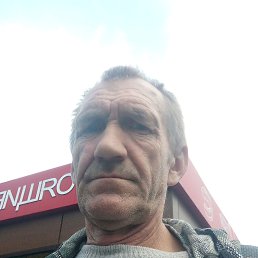 , 54, 