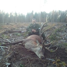 ���������, �����, 50 ���