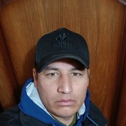 , 29, 