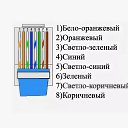 ���� ������, ���������, 40 ��� - ��������� 7 ������� 2025 � ������ ���� ����������