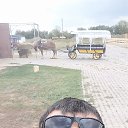 ���� �������, ������, 38 ��� - ��������� 26 ������� 2023 � ������ ���� ����������