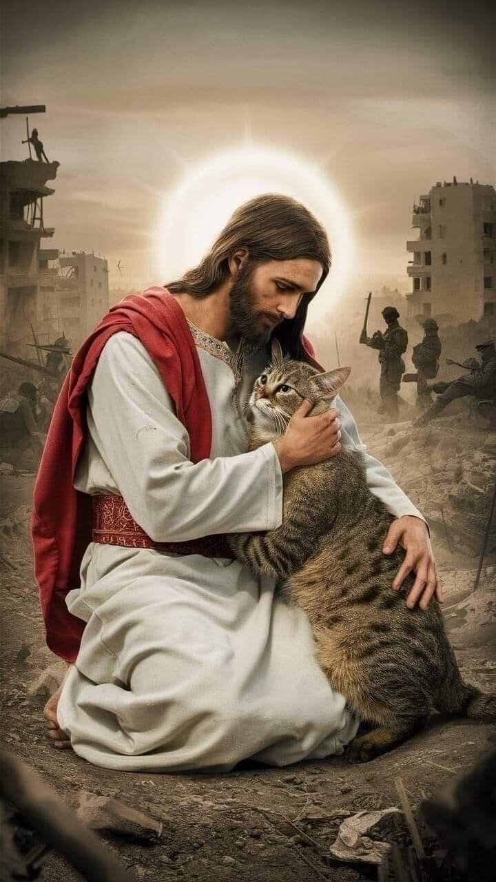 Геннадий - 26 октября 2025 в 08:51