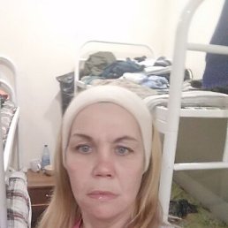 ���� ��������, ����������, 41 ��� - ��������� 3 ������ 2026