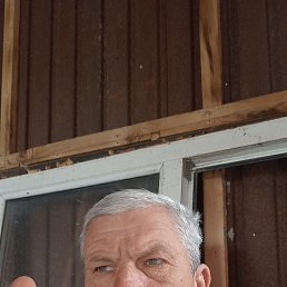 , 55, 