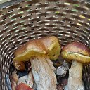 ���� ����, �����-��������� - ��������� 18 ������ 2025 � ������ ���� ����������