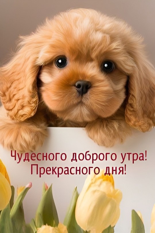  - 22  2025  11:12